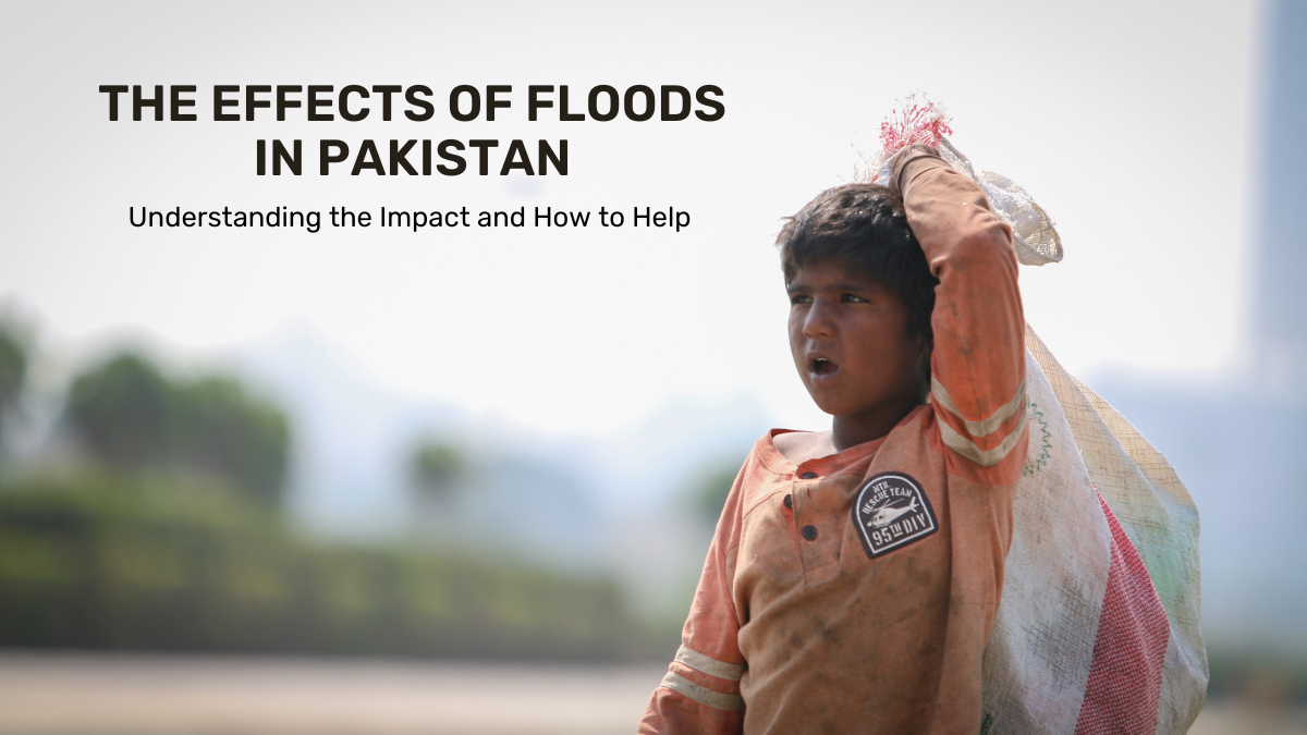The Effects of Floods in Pakistan