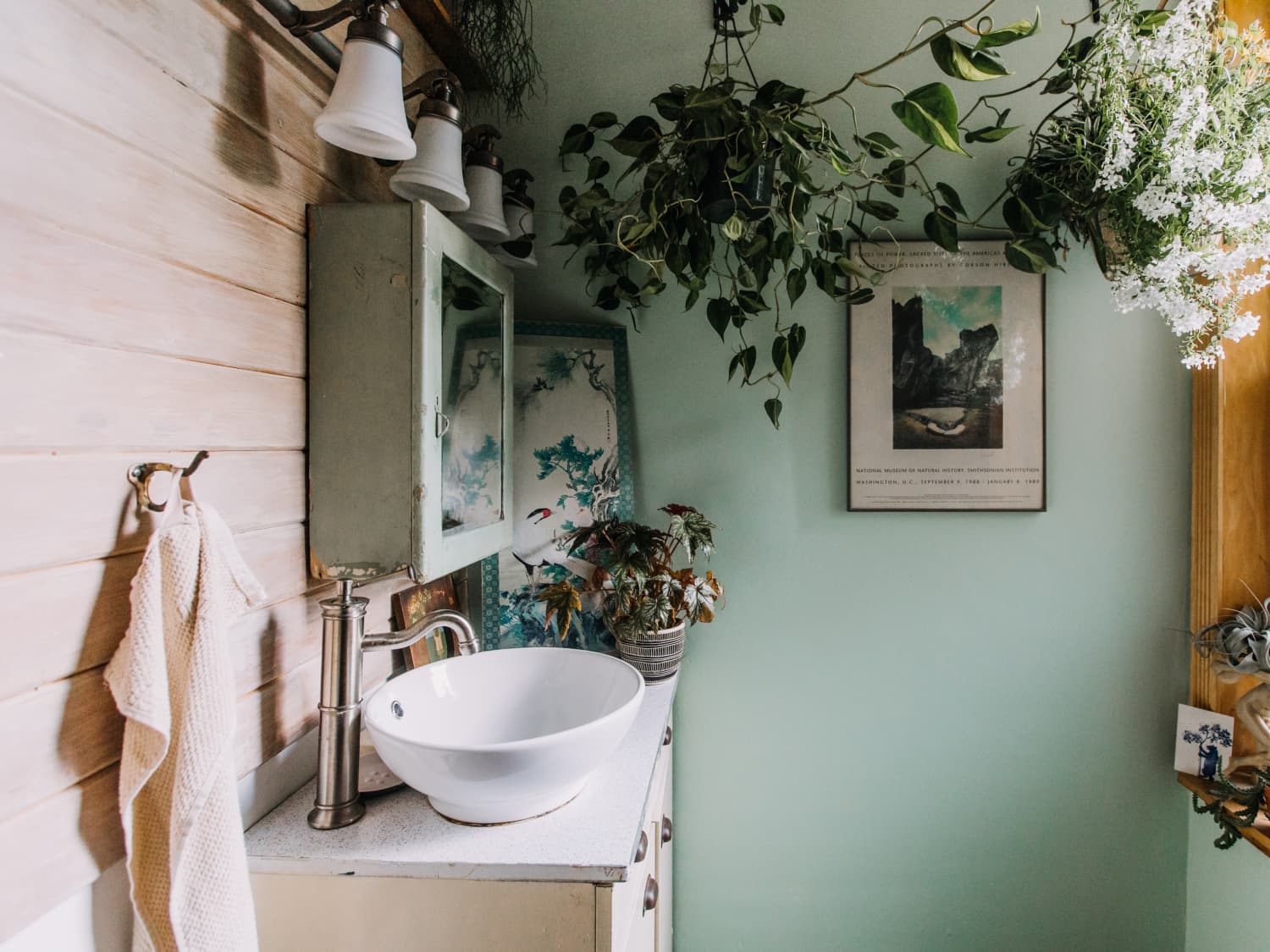 10 plants to decorate your bathroom