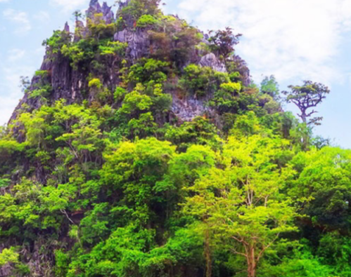 Why Group Travellers Prefer Flamingo Transworld for Thailand Tour Packages from India